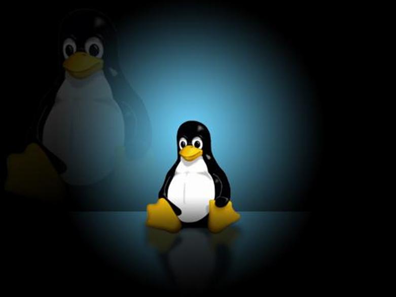 Linux基金会为OWL项目的灾难救济物联网固件