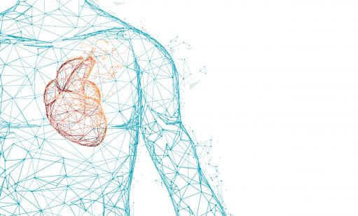 创新科技资讯：人工智能解决方案会真正改变心脏病吗