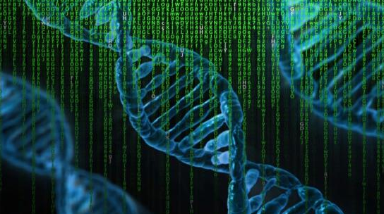 AI设计的DNA血液测试可发现50种不同的癌症