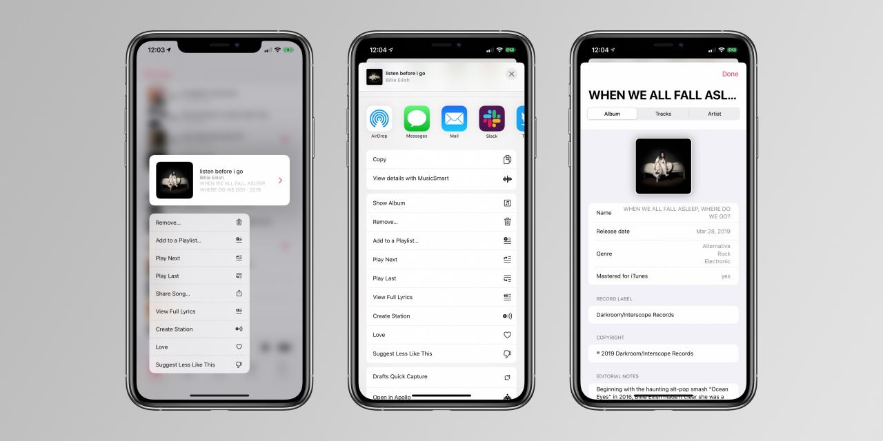 MusicSmart是一款新应用，可为您的Apple Music库带来详尽的衬纸音符