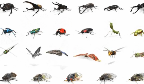 Google在其AR搜索结果中添加了昆虫